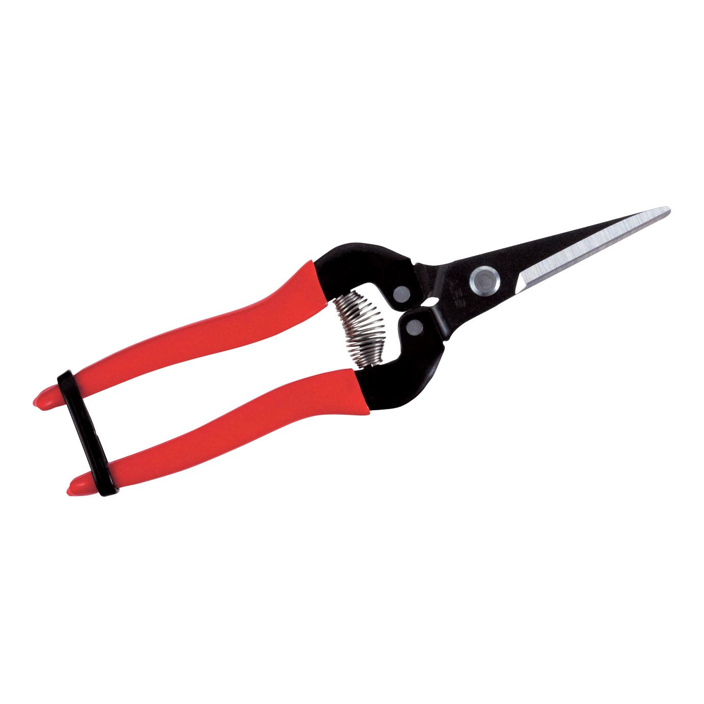 ARS 300L Fruit- bloemen- groente- schaar 19cm met lange rechte bek en rood heft