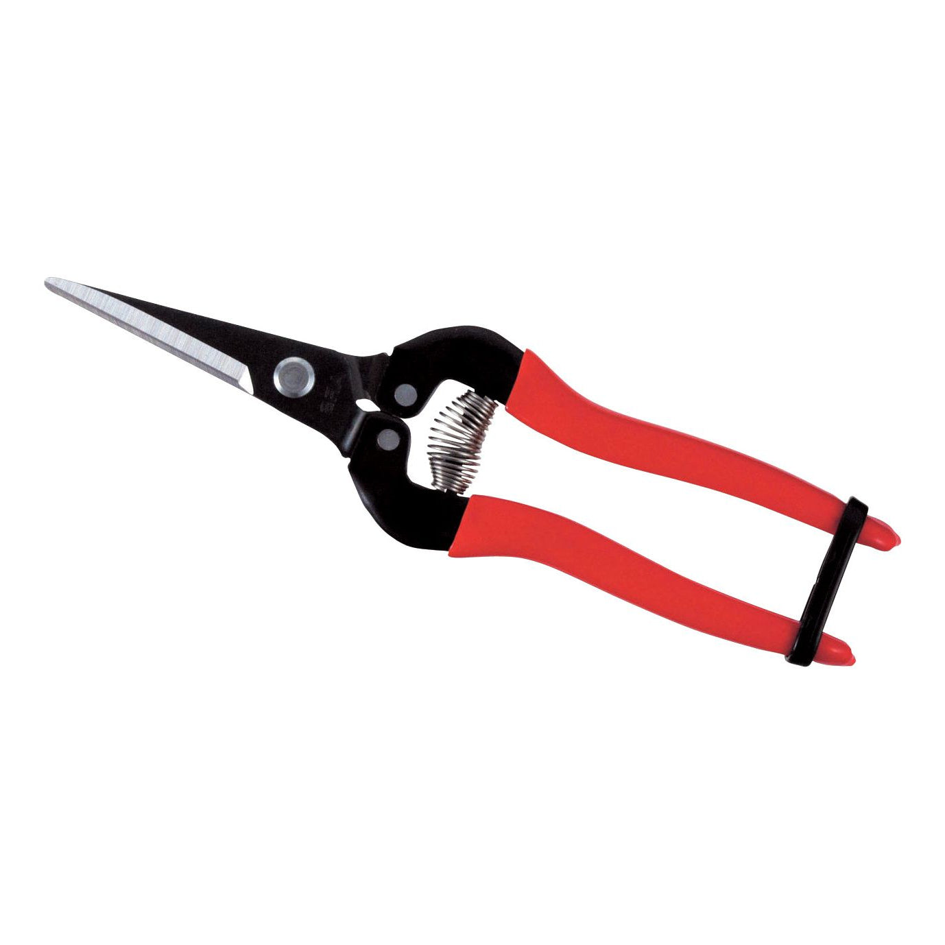 ARS 300L Fruit- bloemen- groente- schaar 19cm met lange rechte bek en rood heft