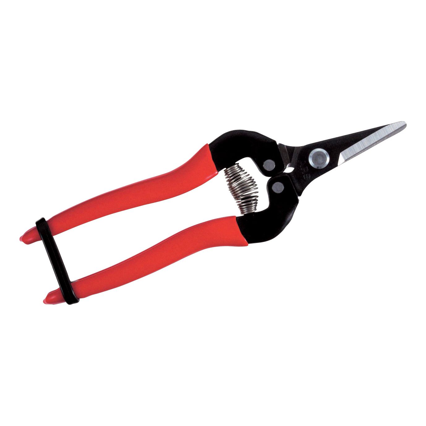 ARS 300SS fruit - bloemen - groente - schaar lengte 17cm met rood heft en korte rechte bek