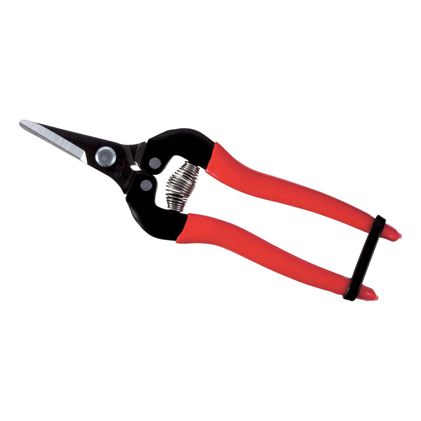 ARS 300SS fruit - bloemen - groente - schaar lengte 17cm met rood heft en korte rechte bek