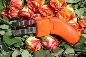 Oogst en Tuin
