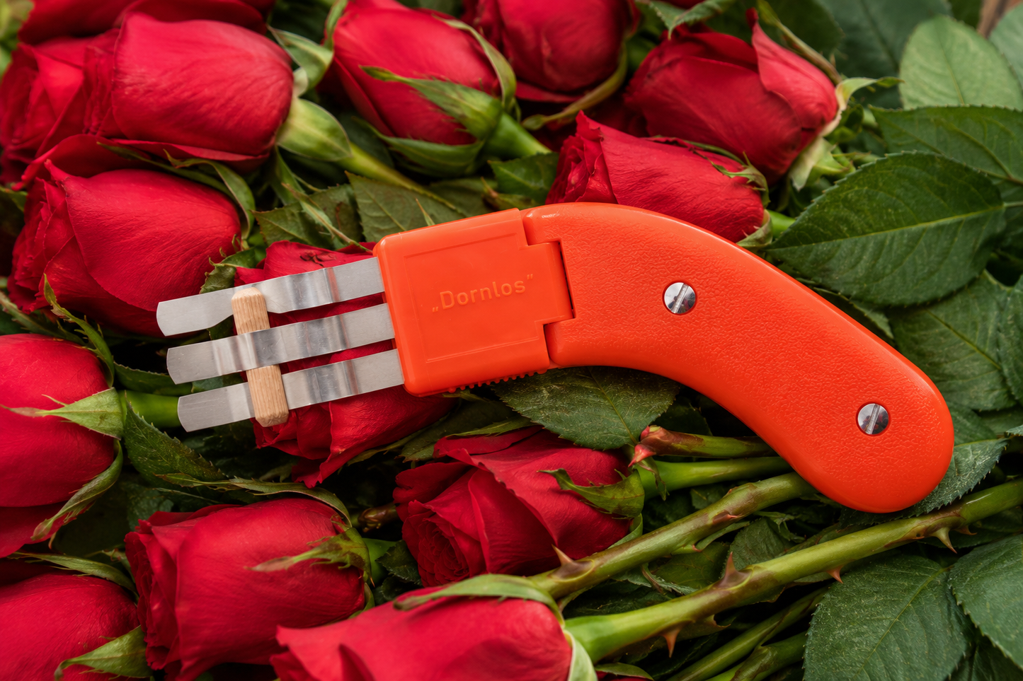 W-SELECTED® roestvrijstalen rozen-ontdoorner 18cm met oranje kunststof scharnier handvat