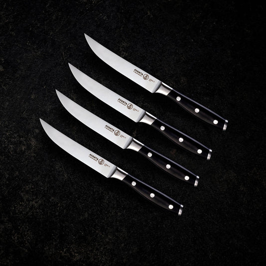 AVANTA 4 PIECE STEAK KNIFE SET