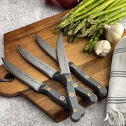 MESSERMEISTER CUSTOM 4 delige STEAKMESSEN set met verwisselbaar heft