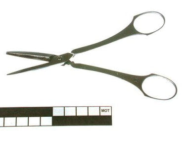 COUTEAUX roestvrijstalen Druiven- presenteer schaar 15,5 cm